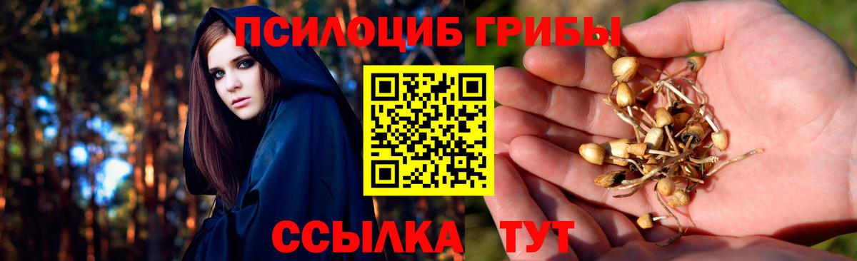 Киселёвск  Галлюциногенные грибы ЛСД  Вход с VPN  Псилоцибиновые грибы прущие грибы 