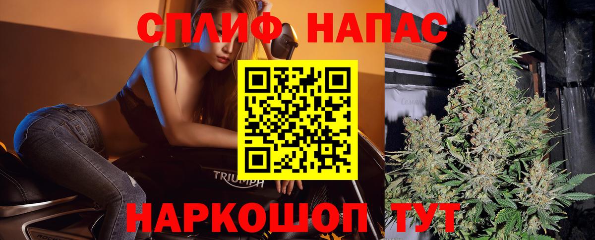 Конопля Bruce Banner Киселёвск